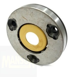 PLACA PARTIDA BIZ 100