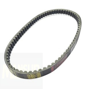 CORREIA SHINERAY 50 CC AUGURI-SPEED-SPIRIT